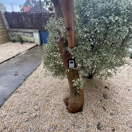 Appartement Ajania, Appt Avec Parking Et Petit Jardin Prive *