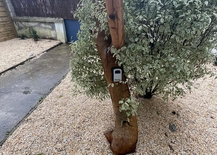 Appartement Ajania, Appt Avec Parking Et Petit Jardin Prive *